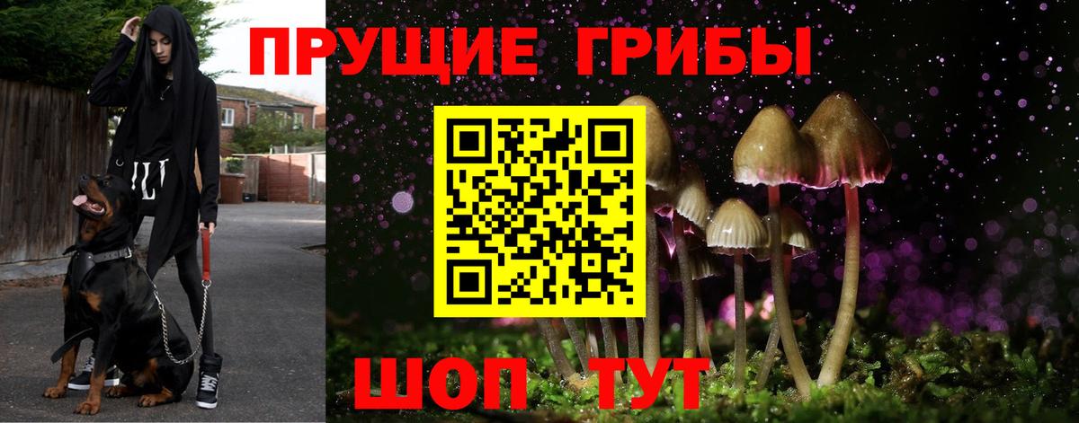 Галлюциногенные грибы ЛСД  Галлюциногенные грибы ЛСД  Полевской  Вход с VPN 
