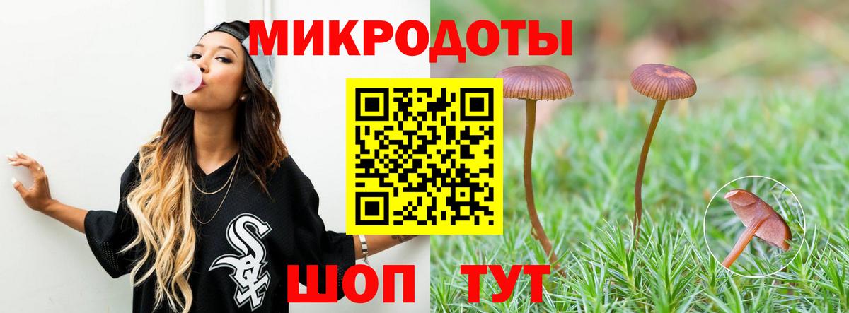 Псилоцибиновые грибы Psilocybe Полевской